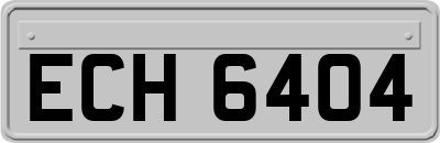 ECH6404