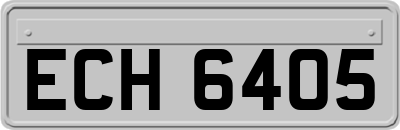 ECH6405
