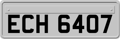 ECH6407