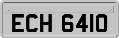 ECH6410