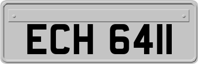 ECH6411