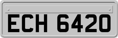 ECH6420