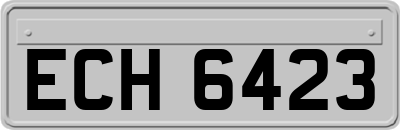 ECH6423