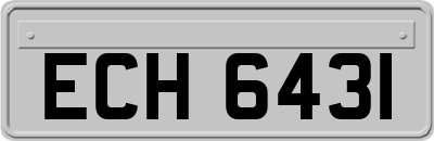 ECH6431