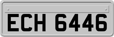 ECH6446