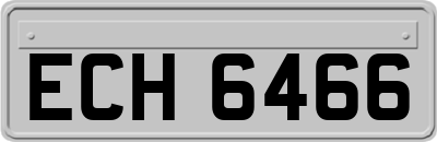 ECH6466