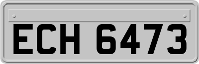 ECH6473