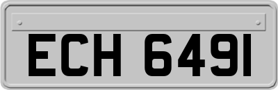 ECH6491