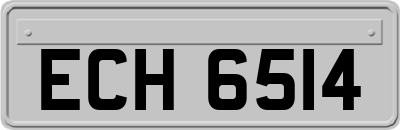 ECH6514