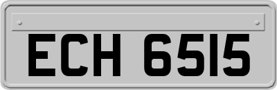 ECH6515