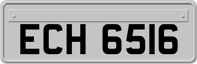 ECH6516