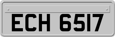 ECH6517