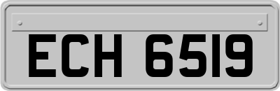 ECH6519