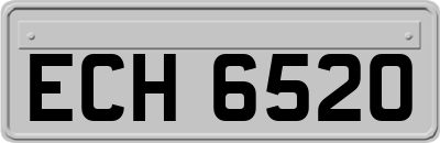 ECH6520