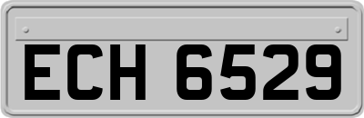 ECH6529