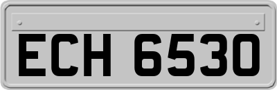 ECH6530