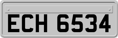 ECH6534