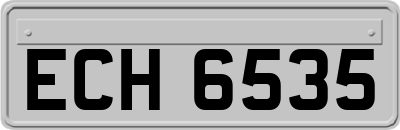 ECH6535