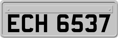 ECH6537