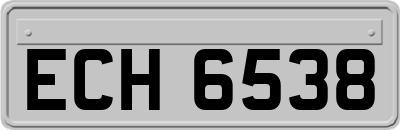ECH6538