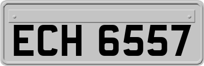 ECH6557
