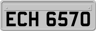 ECH6570