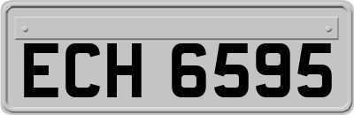 ECH6595