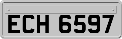 ECH6597