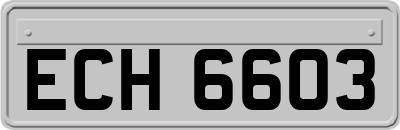 ECH6603