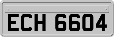 ECH6604