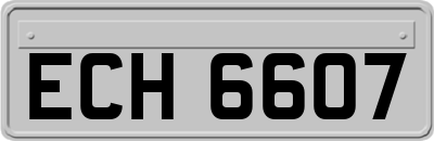 ECH6607