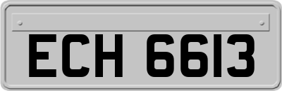 ECH6613