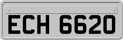 ECH6620
