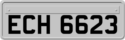 ECH6623