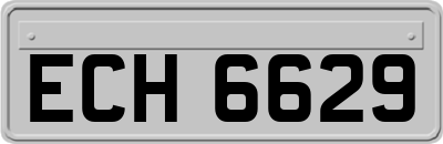 ECH6629