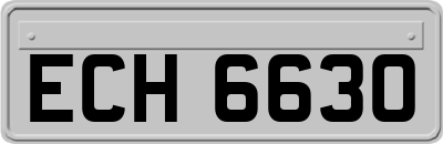 ECH6630