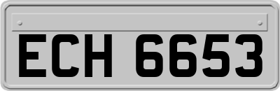 ECH6653