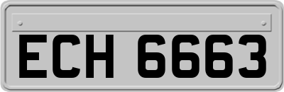 ECH6663