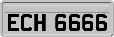 ECH6666