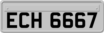 ECH6667