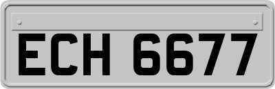 ECH6677