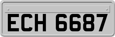 ECH6687