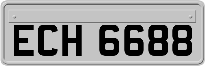 ECH6688