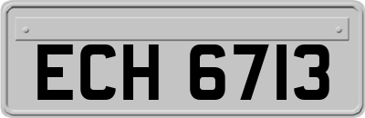 ECH6713