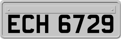 ECH6729