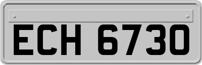 ECH6730