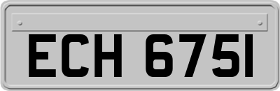 ECH6751