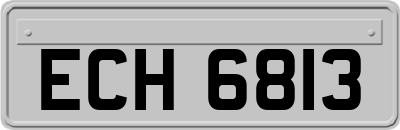 ECH6813