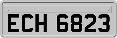 ECH6823