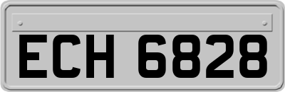 ECH6828